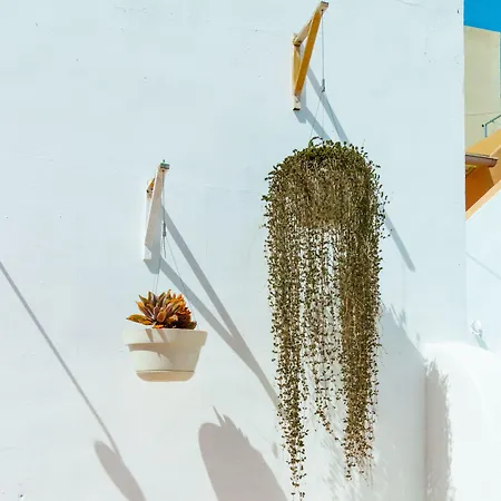 Casa Dona Carmela - Tenerife (adults Only) Santa Cruz de Tenerife